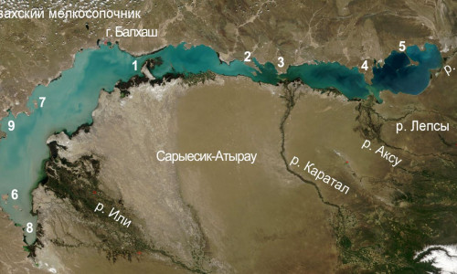 Вид на озеро Балхаш из космоса