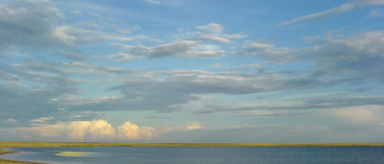 Озеро Кургальджин