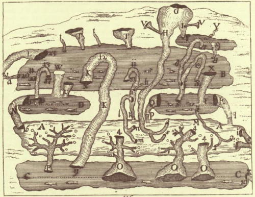 Гидравлическая модель озера Церкница