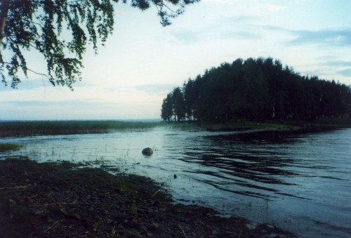 Восточный берег озера Янисъярви