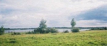 Заликовское озеро летом