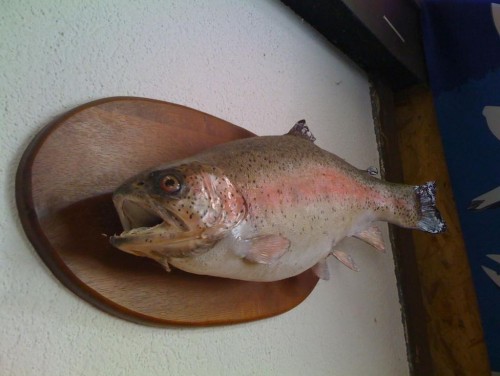 Рыба из озера Сен-Леонар