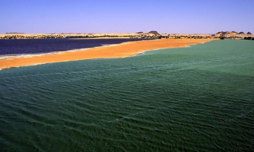 Берег озера Чад