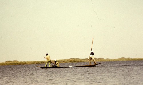 Рыбаки канури на озере Чад в 1970-х годах