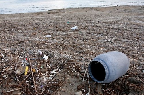 Пластиковый мусор на побережье Мёртвого моря