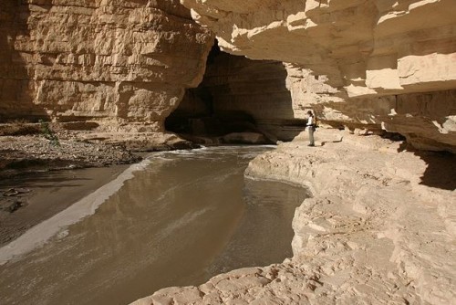 Поток нечистот, текущий в Мёртвое море