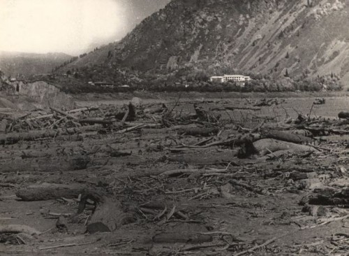 Деревья принесенные на озеро Иссык, во время селя 7 июля 1963 года, по реке Иссык